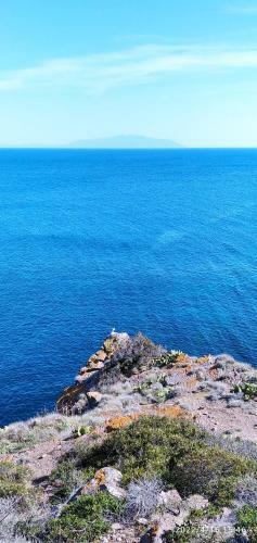 Apartamento Voglia Di Mare