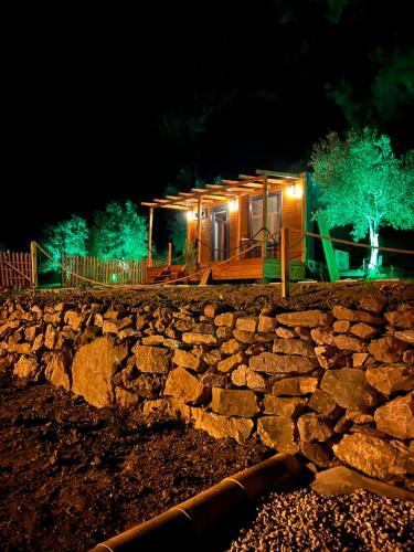 Tiny Mini House