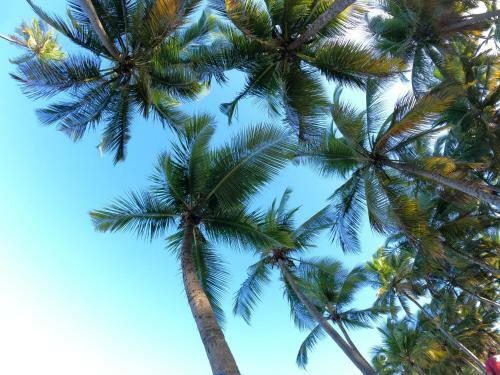 Hostal Casa Do Mato Itacar�