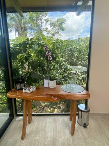 Glamping Entrearboles - Bellavista