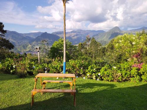 Finca Cafetera El Coral 2