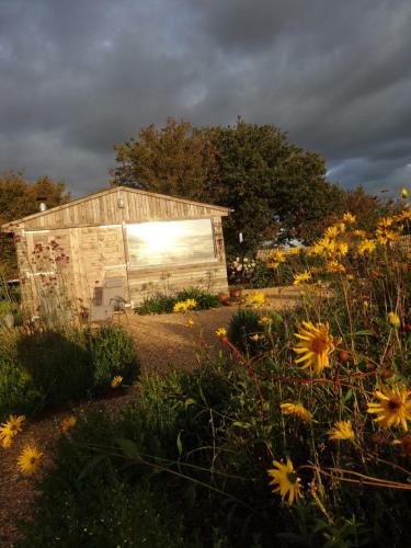 The Oaks Glamping - Jasper's Shepherds Hut