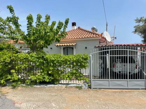 Aloni House