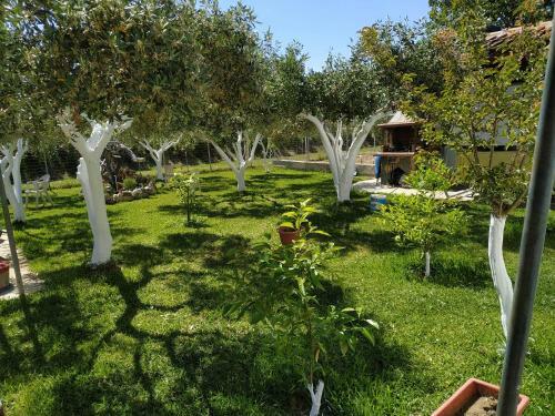 Amarantos Beautiful Garden House