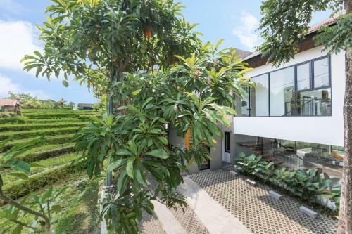Villa Daun 3 Canggu By Nagisa Bali