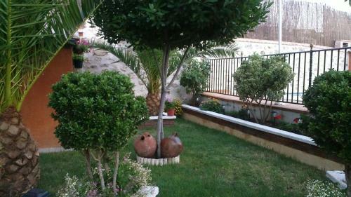 Hostal Chinchon