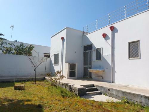 La Casa Degli Alberi