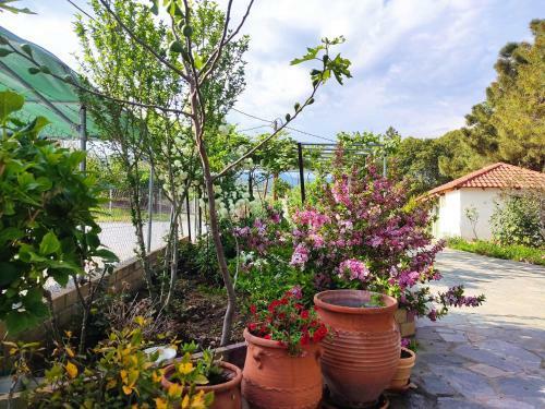 Apartamento Ariadne Beach House