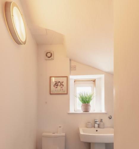 Eden Cottage- Charming Holiday Home With Courtyard Space