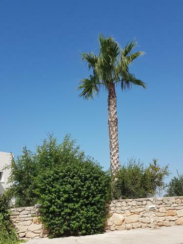 Villaggio Cala La Luna - Apartments