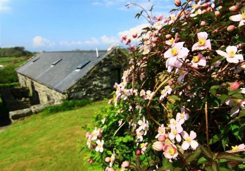 Former Farmhouse Nr Harlech 4043