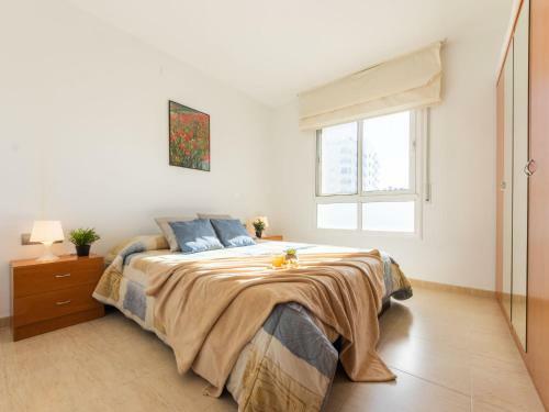 Apartment Tere