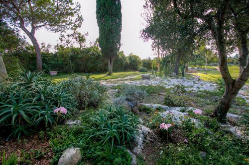 Masseria Cocciolicchio