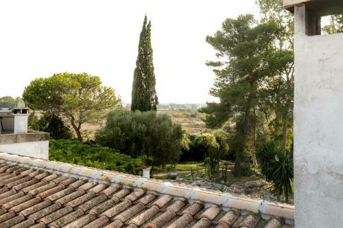 Masseria Cocciolicchio