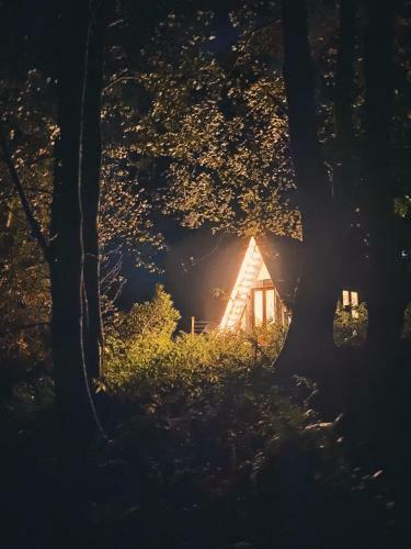 The Black Triangle Cabin