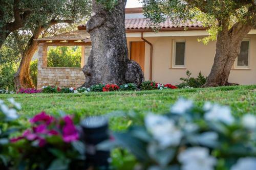 Apartamento Il Mirto Residence