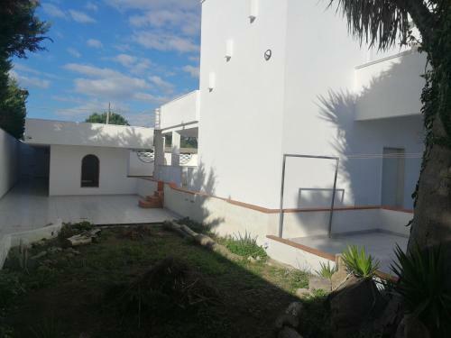 Ninnihouses