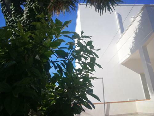 Ninnihouses
