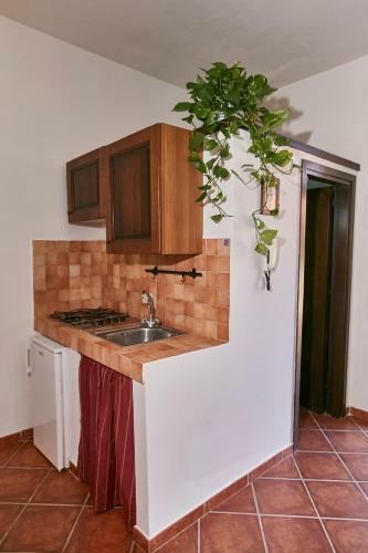 Apartamento Mini Appartamento Santa Maria