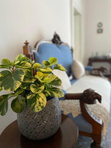 Hostal Palazzo Cacace- Luxury Resort