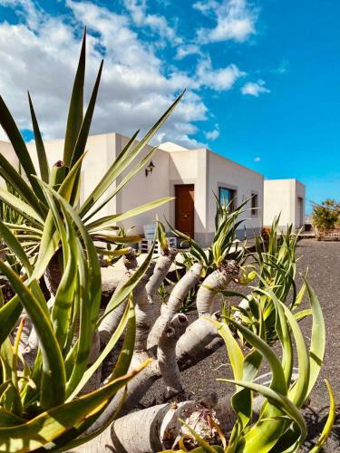 Villa Rural Los Abuelos