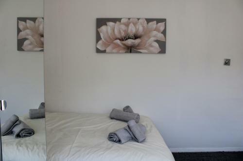 Beautiful 3 Bedroom House With Parking