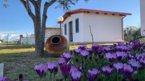 Apulia Maris 11