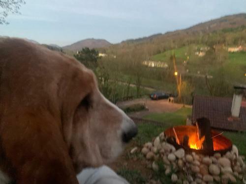 La Pe�ona, Carancos38, Nava