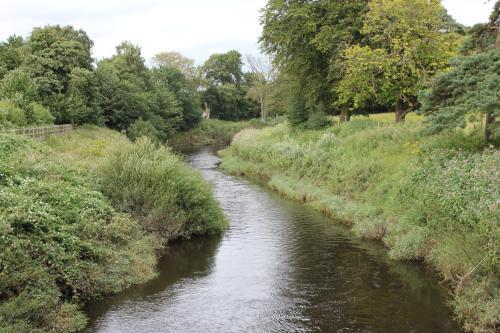 Lowes Meadow Cottage Holiday Rental