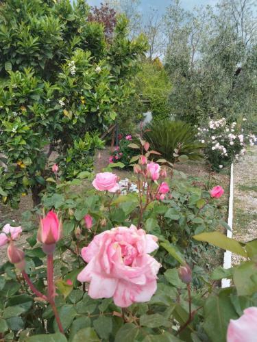 Apartamento La Moresca - Casa Vacanze