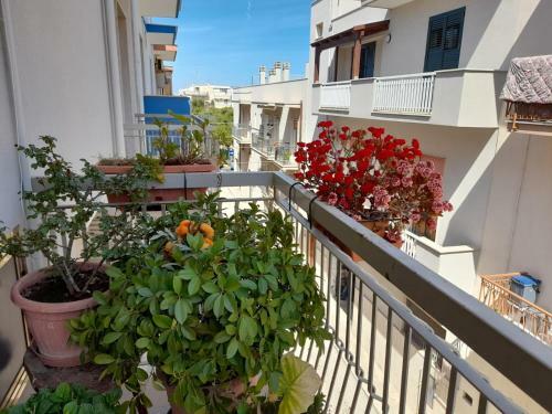 Bed & Breakfast Arcadia Polignano