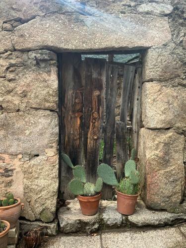 La Casita Del Hortelano