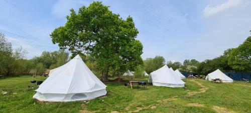 4 Meter Bell Tent - Up To 4 Persons Glamping