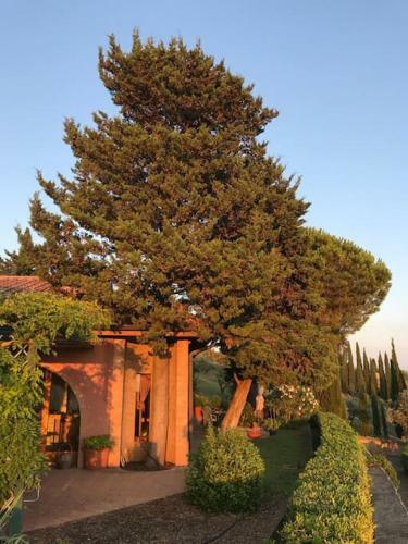 Maison Cipressi