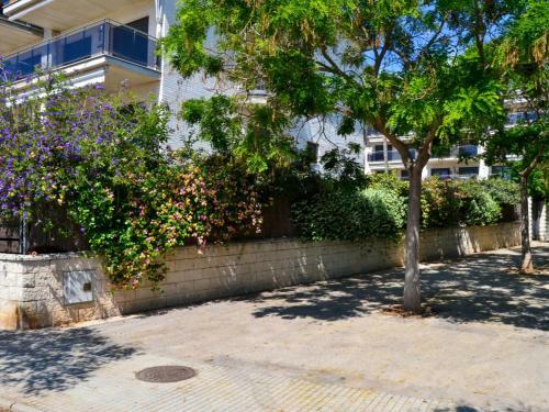 Apartment Vila Del Far
