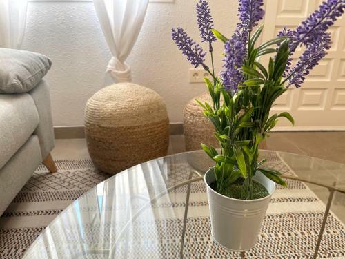 Apartamento Lux&cool Paseo Mar�timo San Jos�