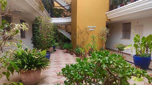 Apartamento Montefillo