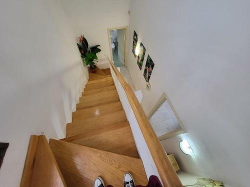 Villa Palm Golf