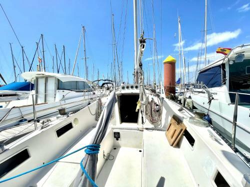 Boat With Bar And Terrace - A Different Way To Stay