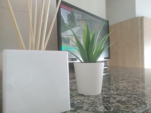 Pm70 Apartament