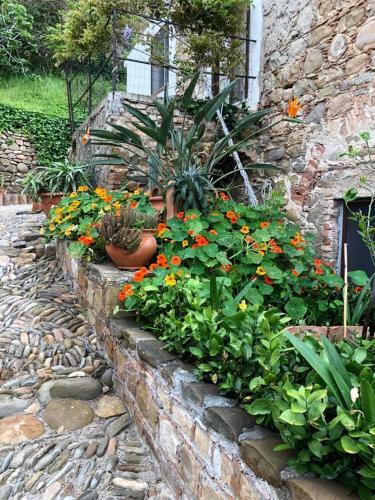 Casa Vacanza Gelsotti