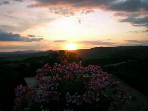 Pleasant Holiday Home In Seggiano With Private Terrace