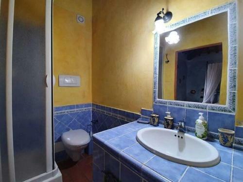 Pleasant Holiday Home In Seggiano With Private Terrace