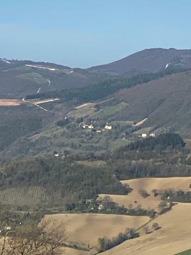 Villa Palazzata D&d