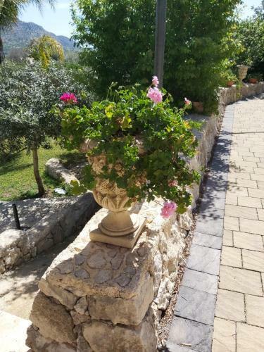 Climiti Holiday House