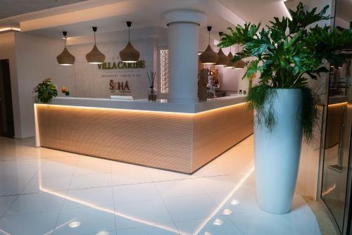 Hotel Villa Caribe
