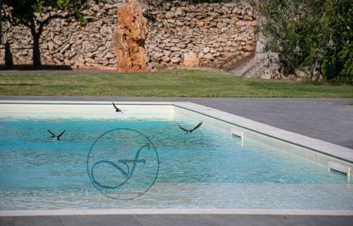 Apartamento Villa Silvia Con Piscina E Spa