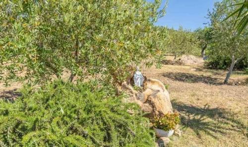 Villa Cuccu Ezzu Torp�