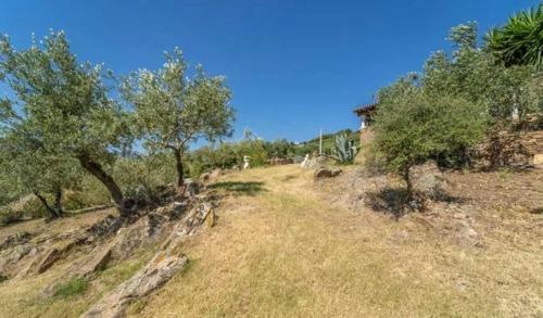 Villa Cuccu Ezzu Torp�
