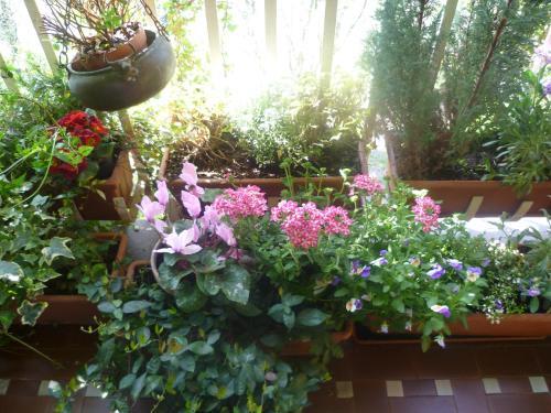 Bed & Breakfast La Terrazza Sul Po